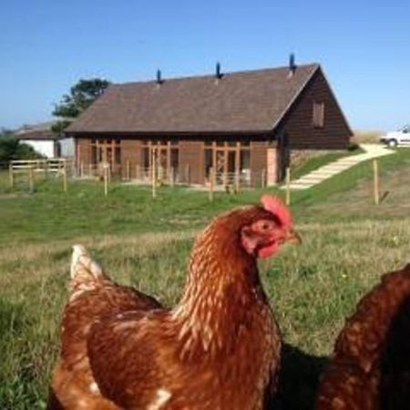 Bike Shed - Beautiful 1-Bed Cottage In Shorwell Екстериор снимка