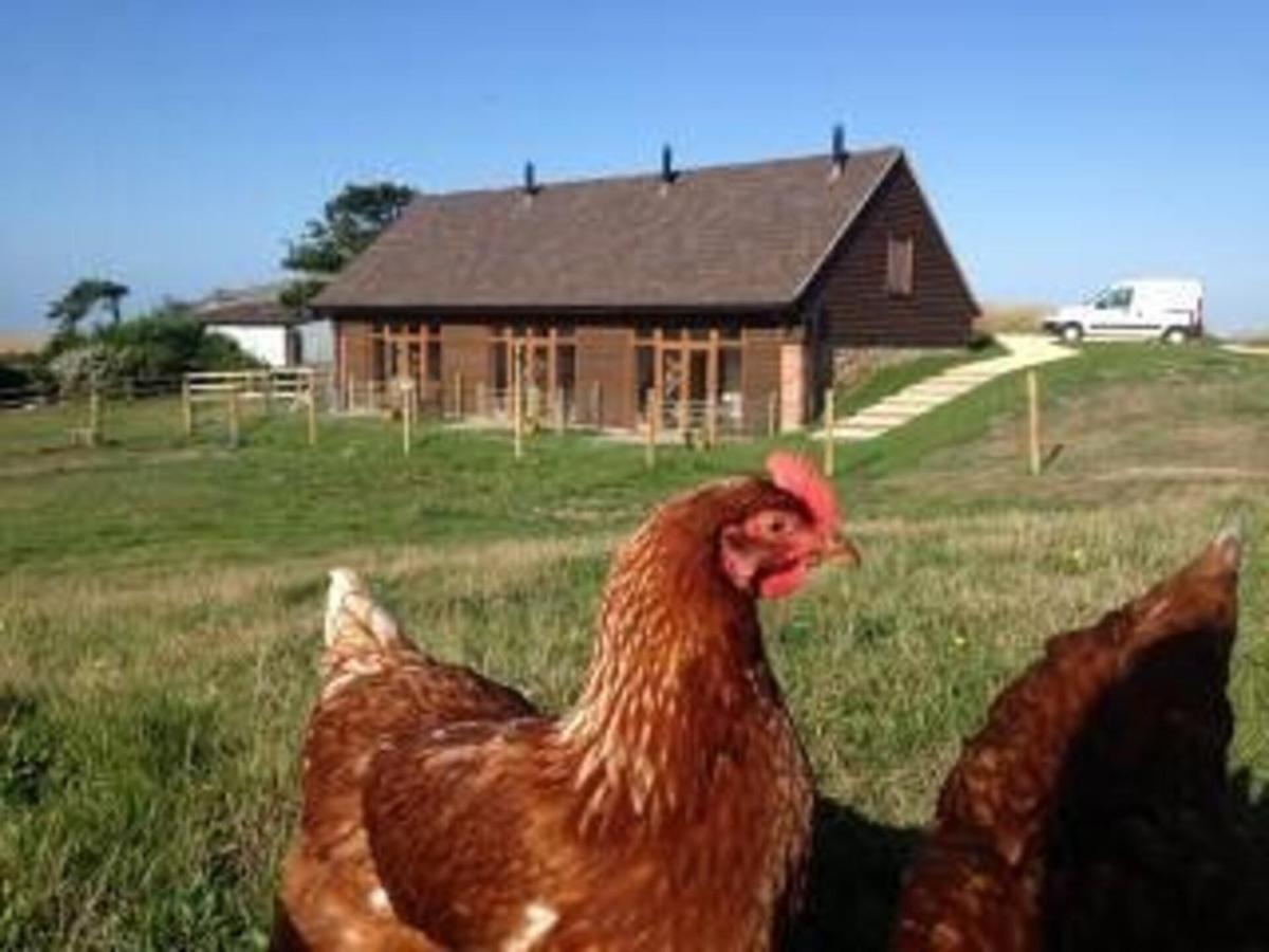 Bike Shed - Beautiful 1-Bed Cottage In Shorwell Екстериор снимка
