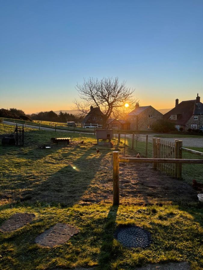Bike Shed - Beautiful 1-Bed Cottage In Shorwell Екстериор снимка