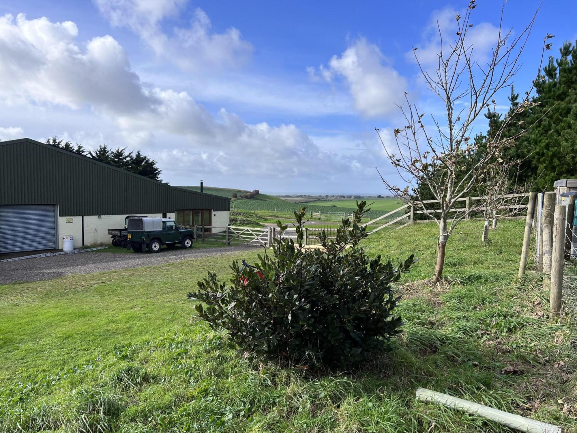 Bike Shed - Beautiful 1-Bed Cottage In Shorwell Екстериор снимка